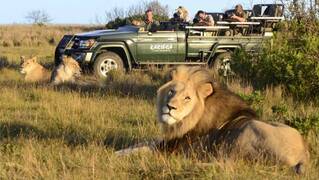 Expert Tanzania Safari From South AfricaPicture