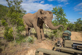 Top Tanzania Safari From South AfricaPicture
